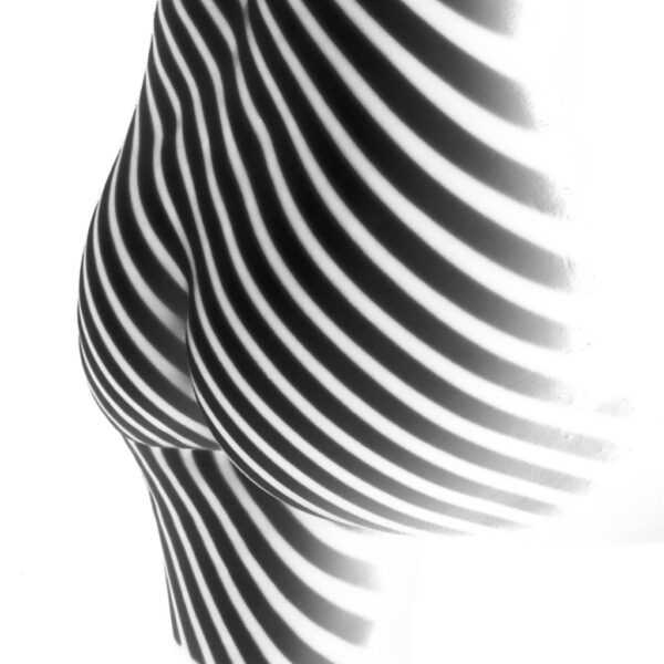 Zebra One